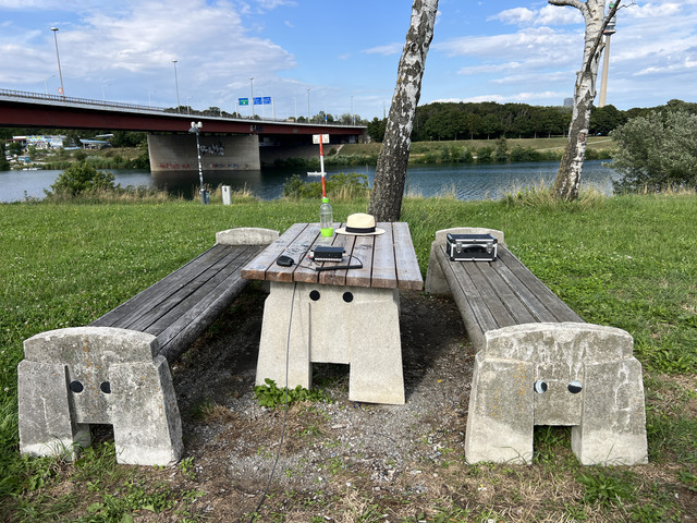 IMG-8693.jpg