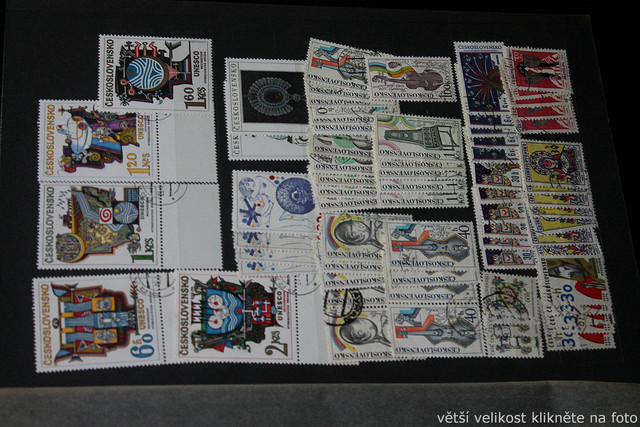 IMG-6883.jpg