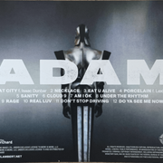 Adam Lambert ADAM official CD inlay 2