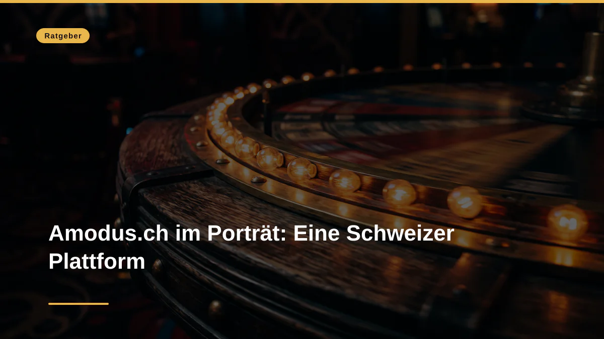 Amodus.ch im Porträt: Eine Schweizer Plattform