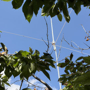 IMG 7405