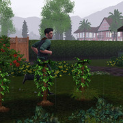 Screenshot 20