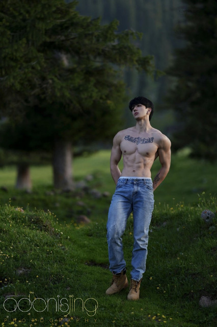 Adonis 01 72