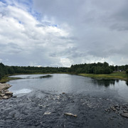 IMG 4613