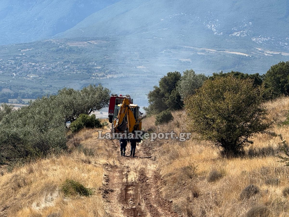 Δασ Πυρκαγια013