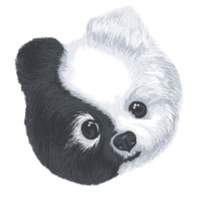 Chi Dog affiliate program logo