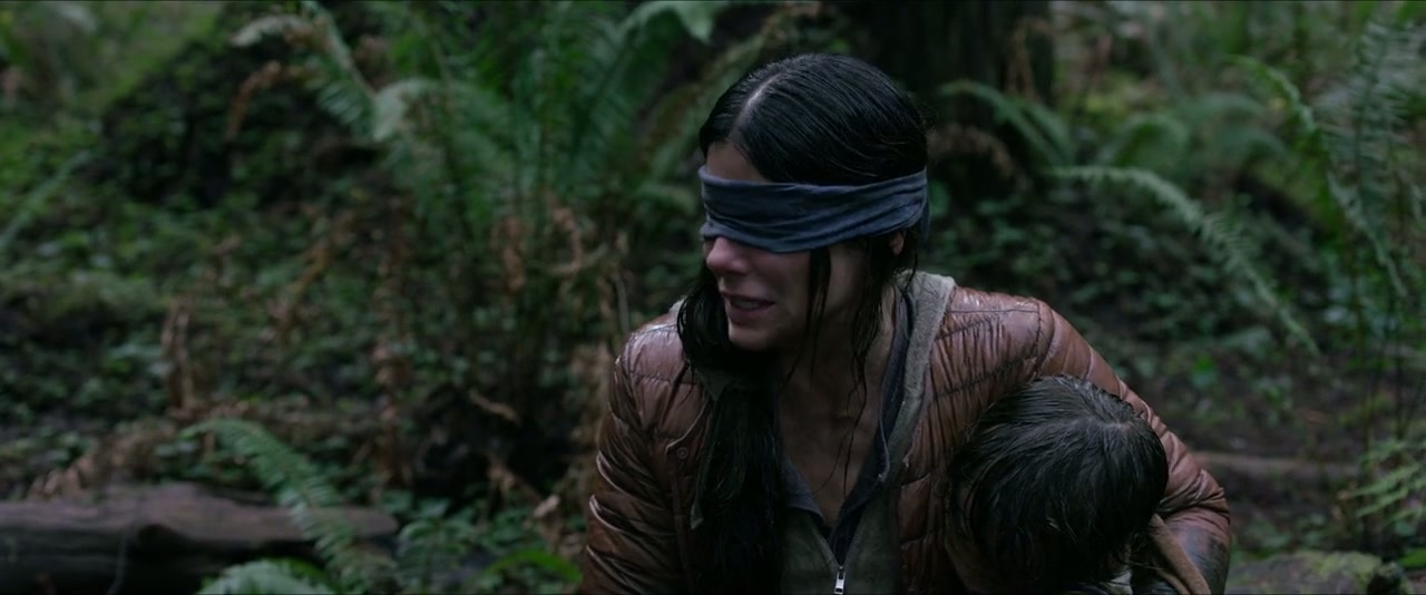 Bird Box Screenshot