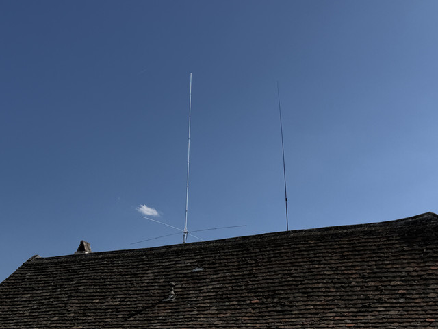 IMG 7497.jpg