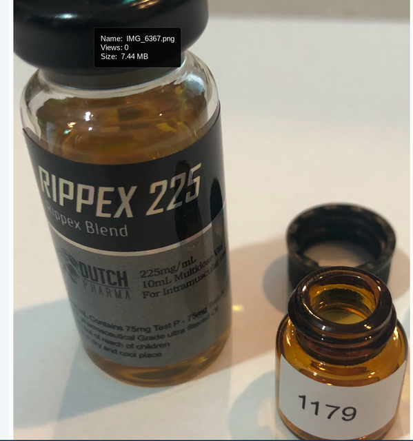 dutch-pharma-111