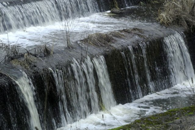 DSC8475.jpg