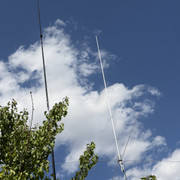 IMG 7444