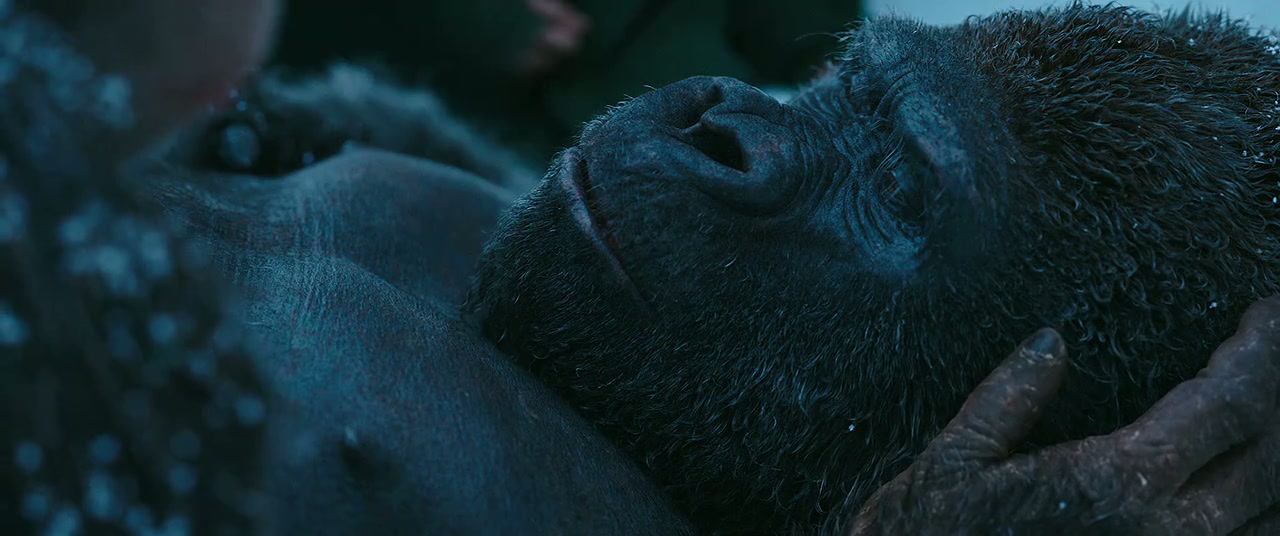 War for the Planet of the Apes Screenshot
