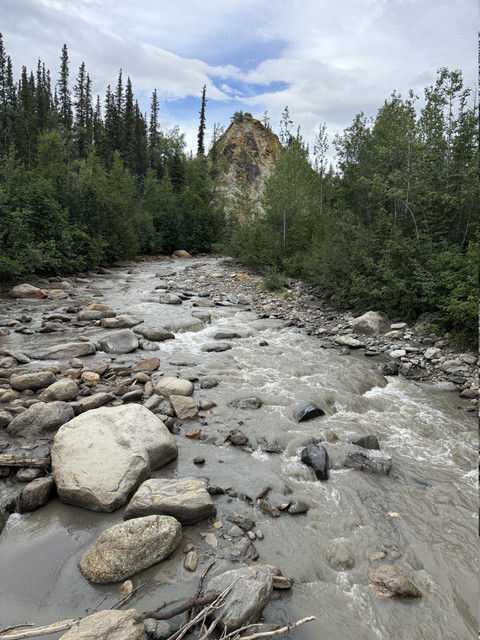 IMG 6484.jpg