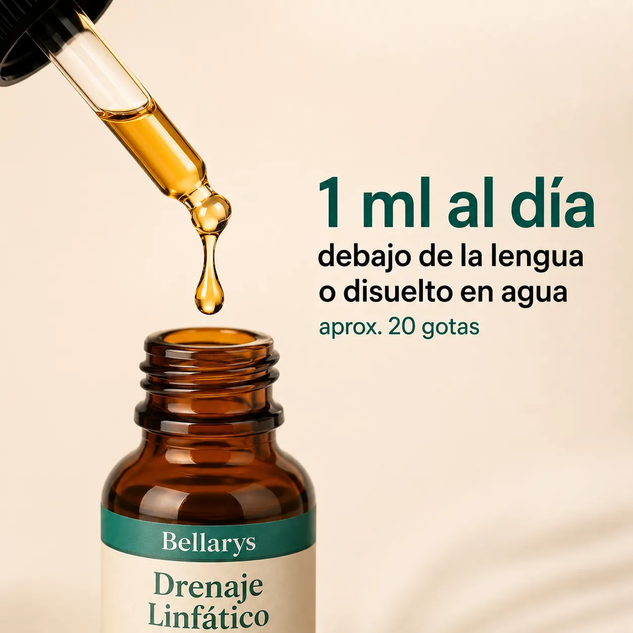 Bellarys en tu rutina diaria