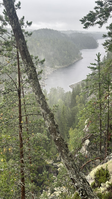 IMG 4894.jpg