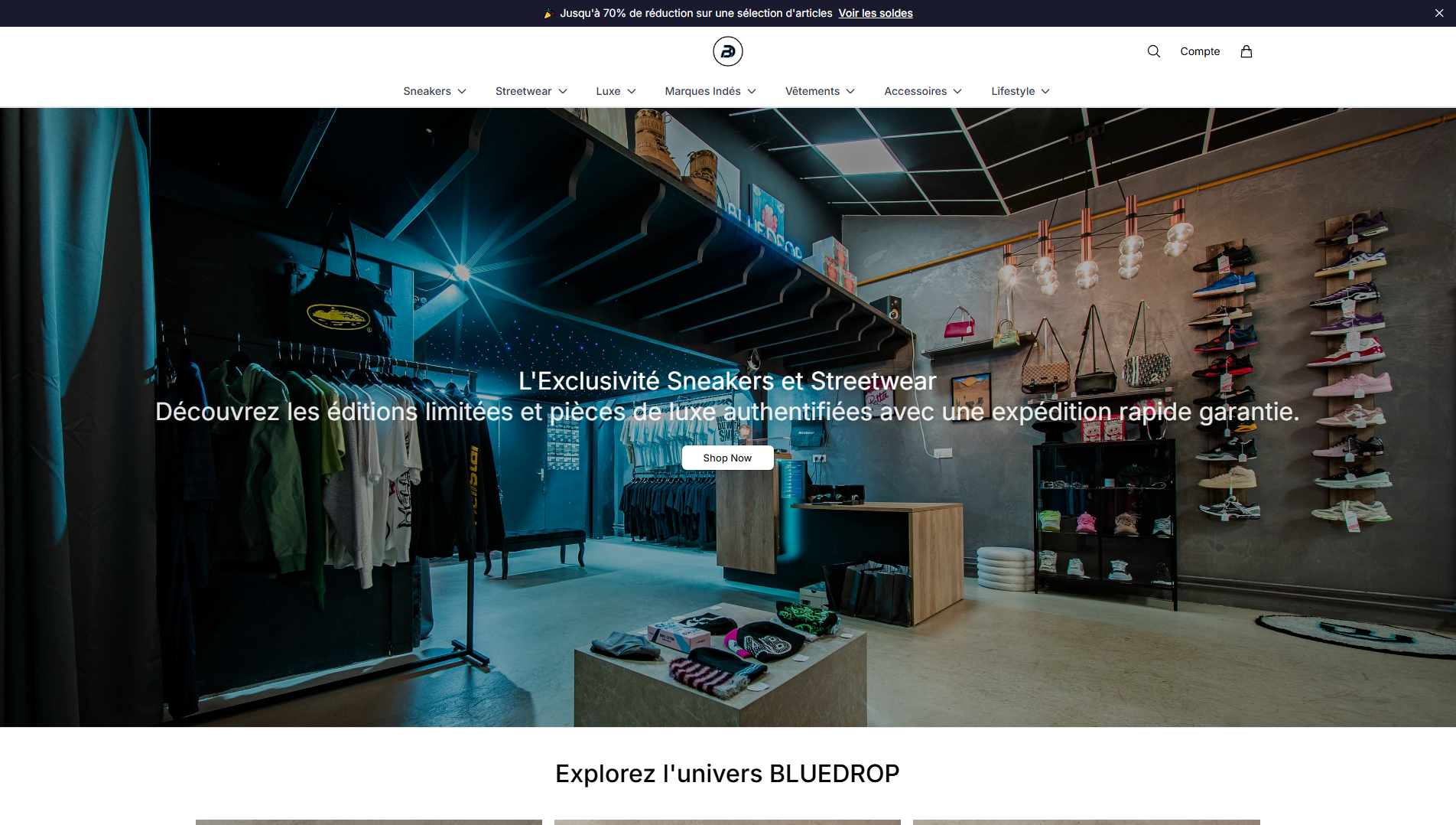 Primary capture · bluedropfashion.shop