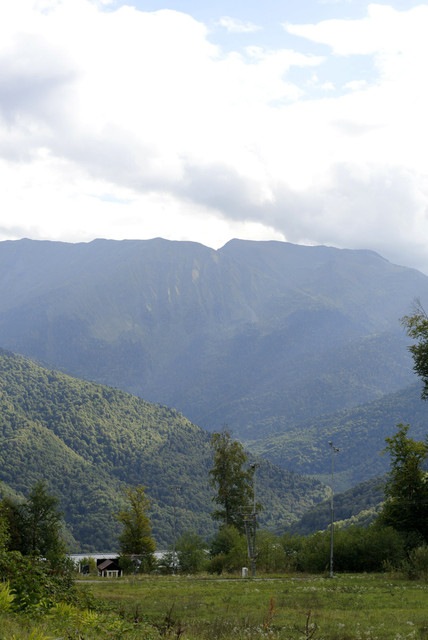 DSC7155.jpg