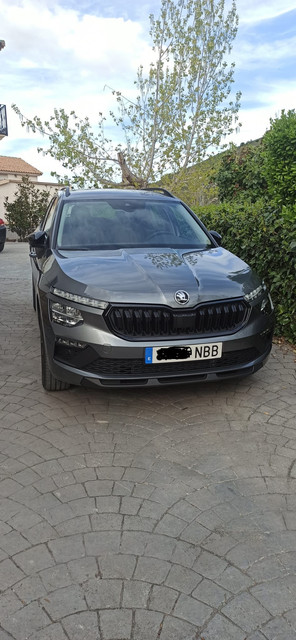 Skoda4