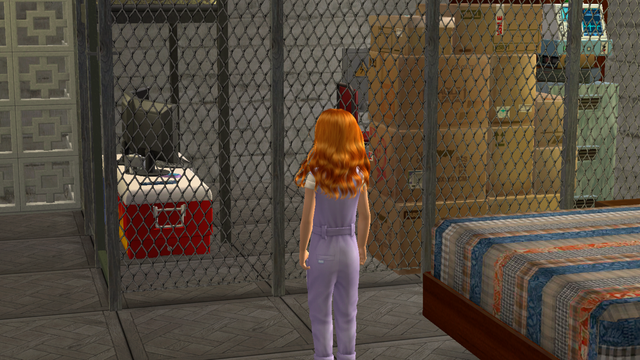 o Peace Observingthe Cage.png