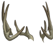 Gray antlers