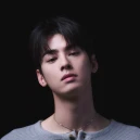 cha eun woo 1252848