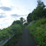 P1330745