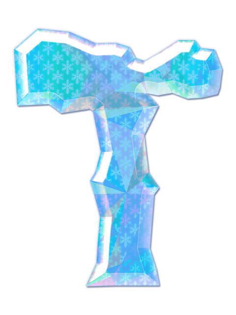 20 604038