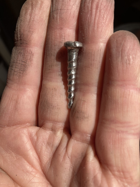 Screw