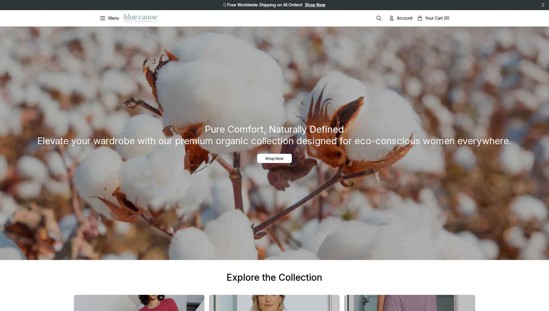 Primary capture · bluecanoedirect.shop