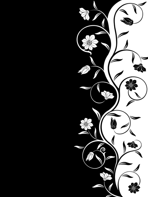 shutterstock 37509613.png