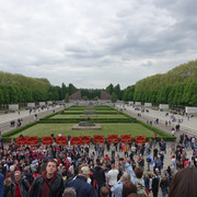 DSC08306