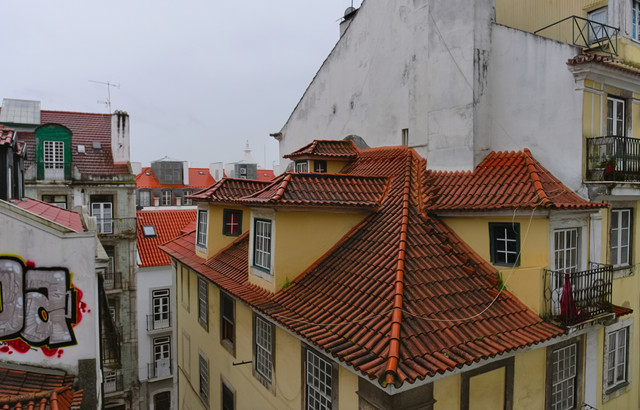IMGP7562-1
