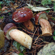 DSC00191