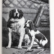 IMG-8120