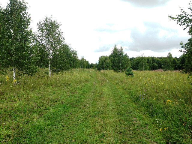 IMG-4001.jpg