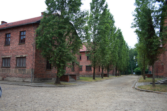 IMG-5798.jpg
