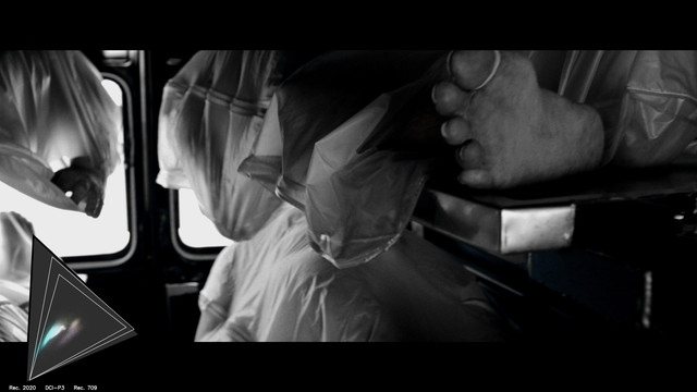 gamut-BAD20084
