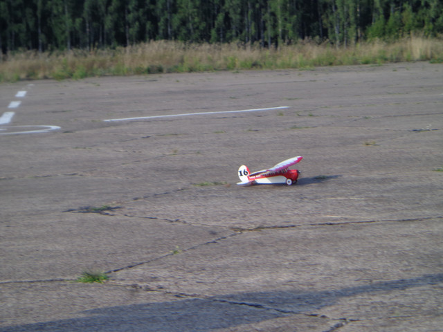 DSC00564.jpg