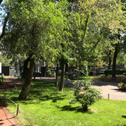 IMG-0795