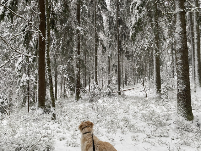 44-A889-CA-223-F-4158-898-A-FCB9617608-A