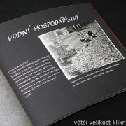IMG-7584