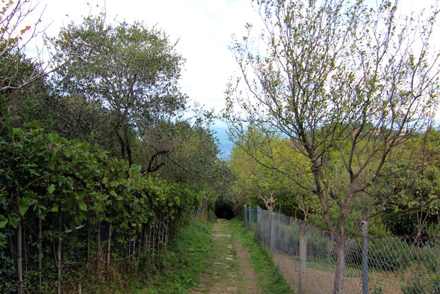IMG-9856.jpg