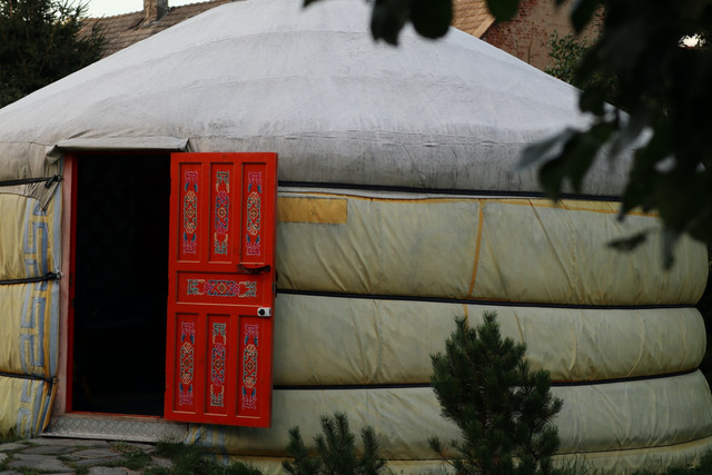resize-IMG-9370