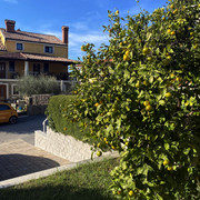 IMG-3924