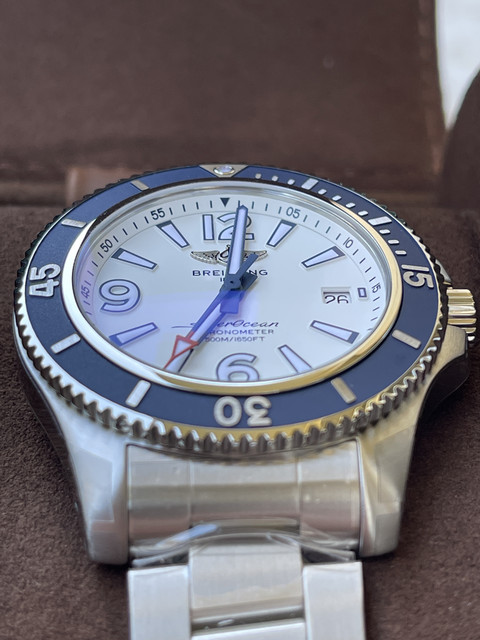 La petite dernière vient d'arriver IMG-4118