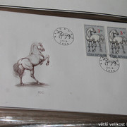 IMG-2542