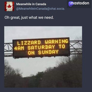 lizzardconditions