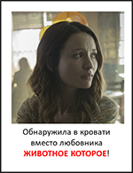 https://i.ibb.co/41Wb1Fx/2.png