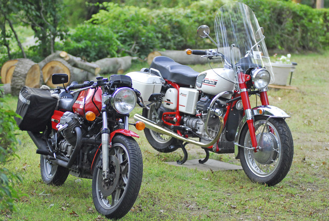 guzzi