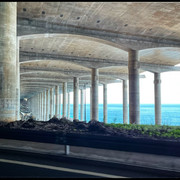 comp-IMG-7248